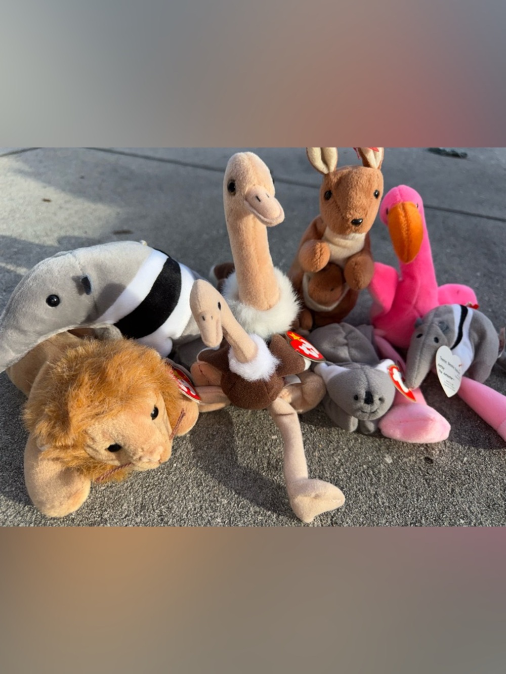 Ty Beanie Babies Bundle Lot 8 Pc w/ Tags Lion Ostrich Kangaroo Flamingo - Picture 4 of 4